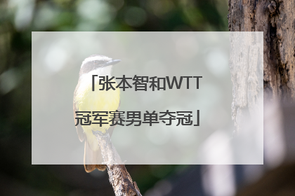 「张本智和WTT冠军赛男单夺冠」2022年wtt冠军赛张本智和