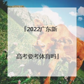 「2022广东新高考要考体育吗」2022新高考广东物理