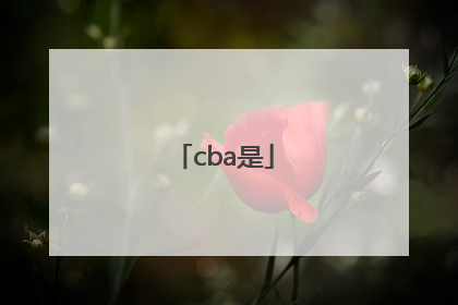 「cba是」cba是什么牌子的衣服