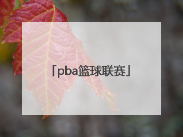 「pba篮球联赛」pba篮球联赛刘传兴